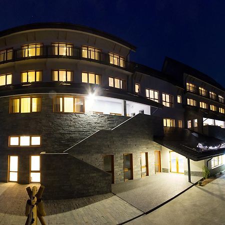 Pensiunea Art 1000 Lunca Visagului Exterior photo