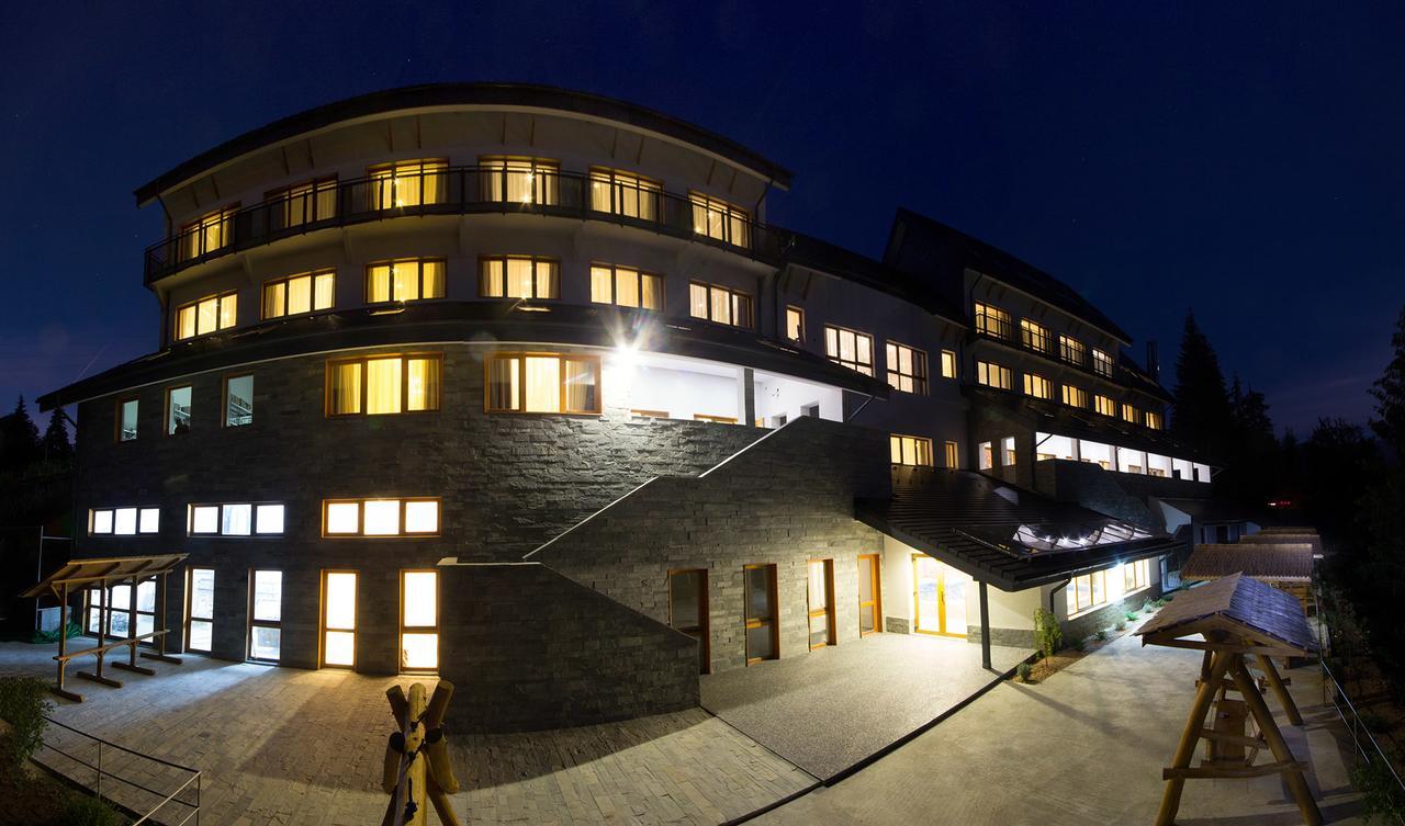 Pensiunea Art 1000 Lunca Visagului Exterior photo